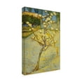 thumbnail image 4 of Van Gogh 'Small Pear Tree In Blossom' Canvas Art, 4 of 4