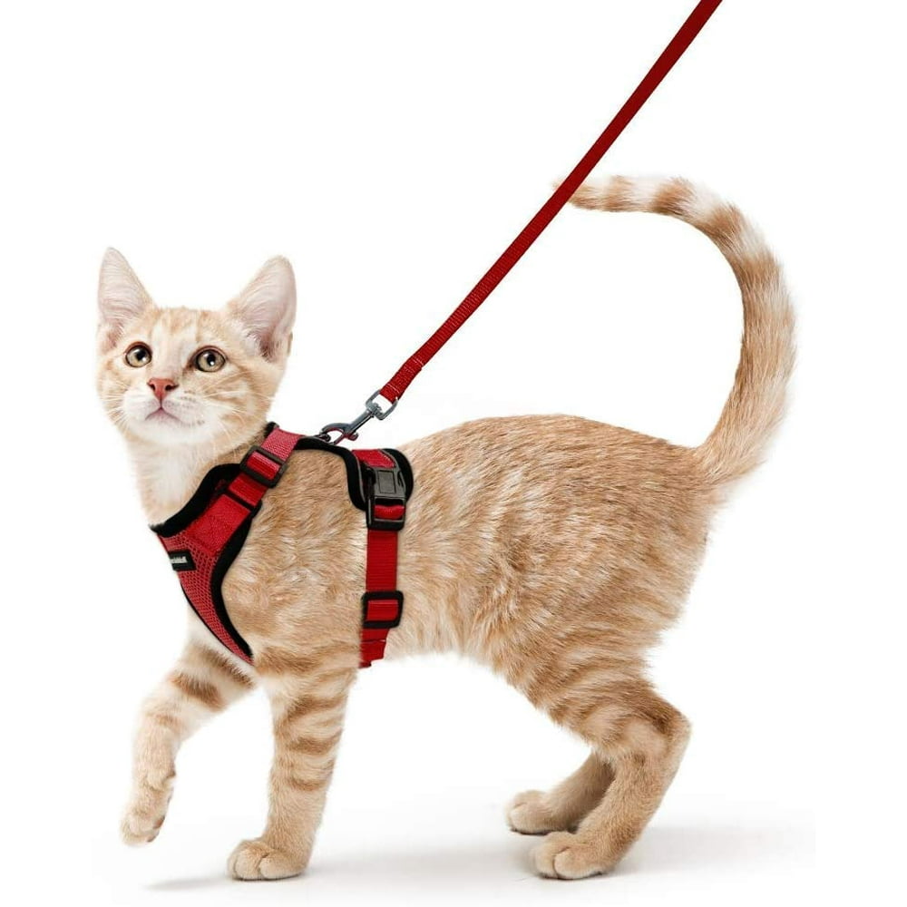 Rabbitgoo Cat Harness and Leash for Walking,Escape Proof Soft Adjustable Vest Harnesses for Cats