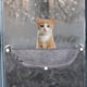 thumbnail image 4 of Cómoda Cama para Gatos con Ventana, Hamaca para Tomar El Sol, Percha para Gatos con, 4 of 9