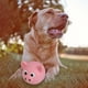 thumbnail image 2 of Sywqhk Bonito juguete de látex con forma de cabeza de animal para perros, juguetes chirriantes para masticar y morder (rosa) Sywqhk Para estrenar, 2 of 9