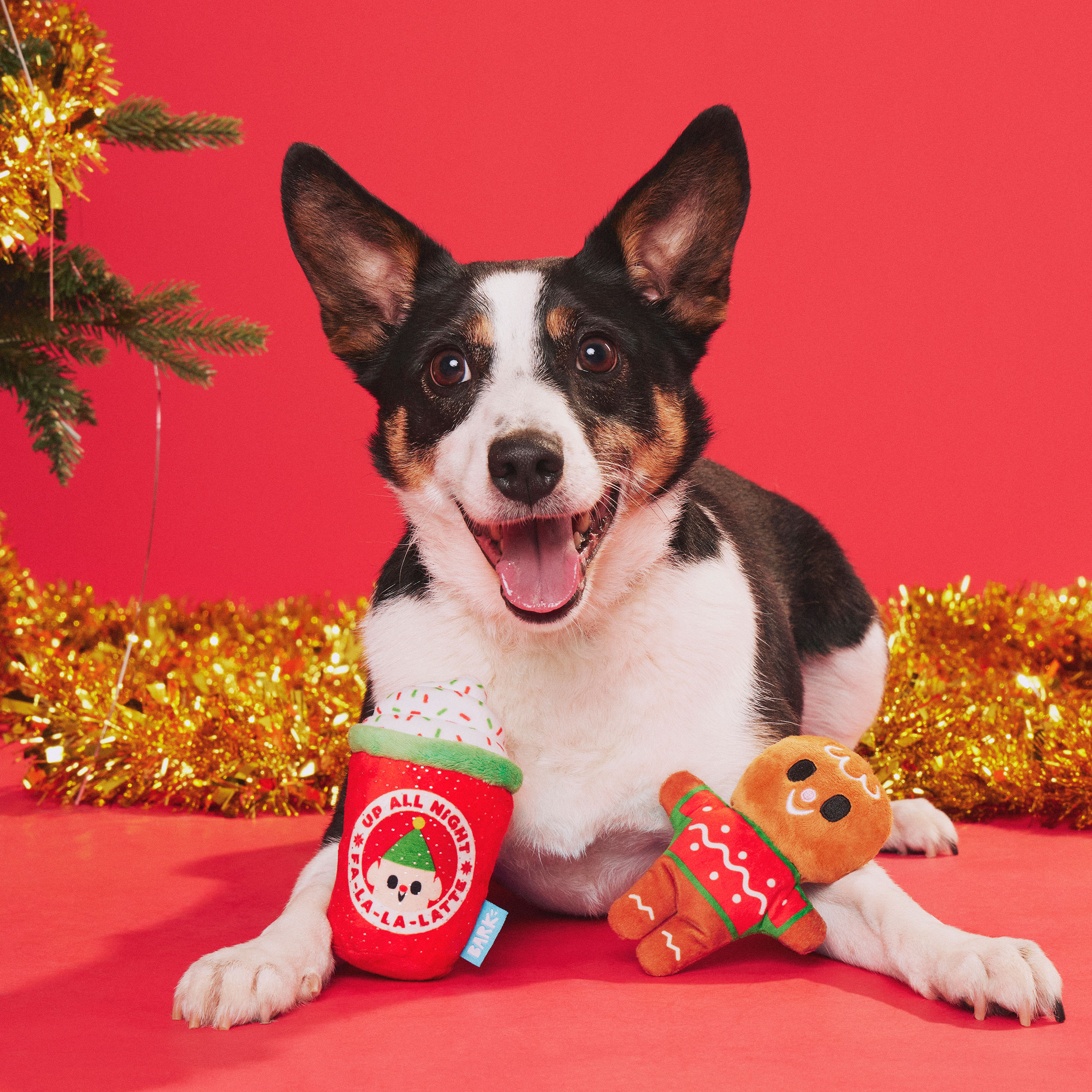 BARK Ginger Brew Crew 2 Piece Plush Dog Toy