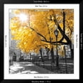 thumbnail image 5 of Art.com Park Pretty II Photographic Print by Assaf Frank, Black Frame Wall Art, 38" x 38", 5 of 5