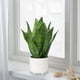 thumbnail image 5 of Planta de serpiente falsa Planta de serpiente artificial de 14 "Planta de serpiente artificial con maceta de cerámica blanca Planta de Sansevieria Perfecta para la casa Sala de estar moderna Ofic, 5 of 5
