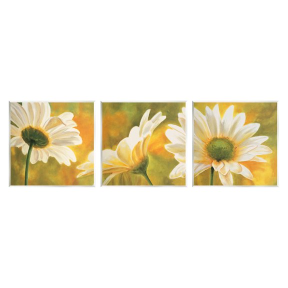 Stupell Blooming Wild Daisies Field Botanical & Floral Painting Wall Plaque Unframed Art Print Wall Art, Set of 3