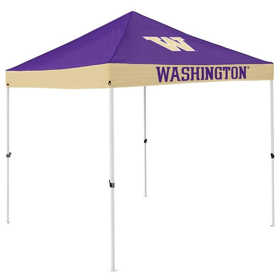 Washington Economy Canopy