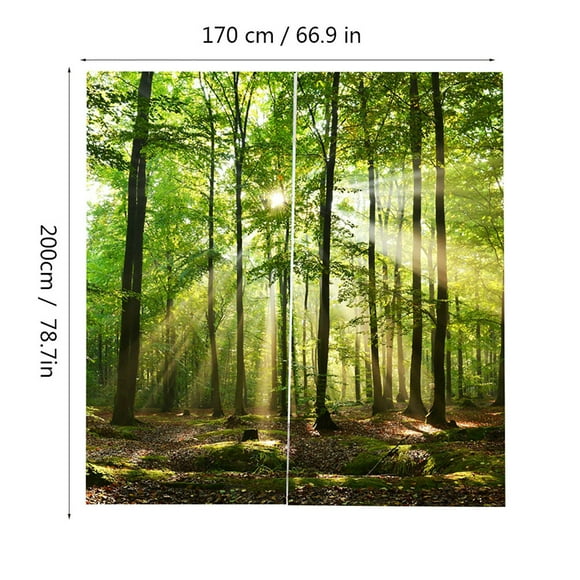 Dekaim Rideau de fenêtre Paysage forêt Soleil Motif Impression Rideau pour Balcon Chambre fenêtre(170*200cm)