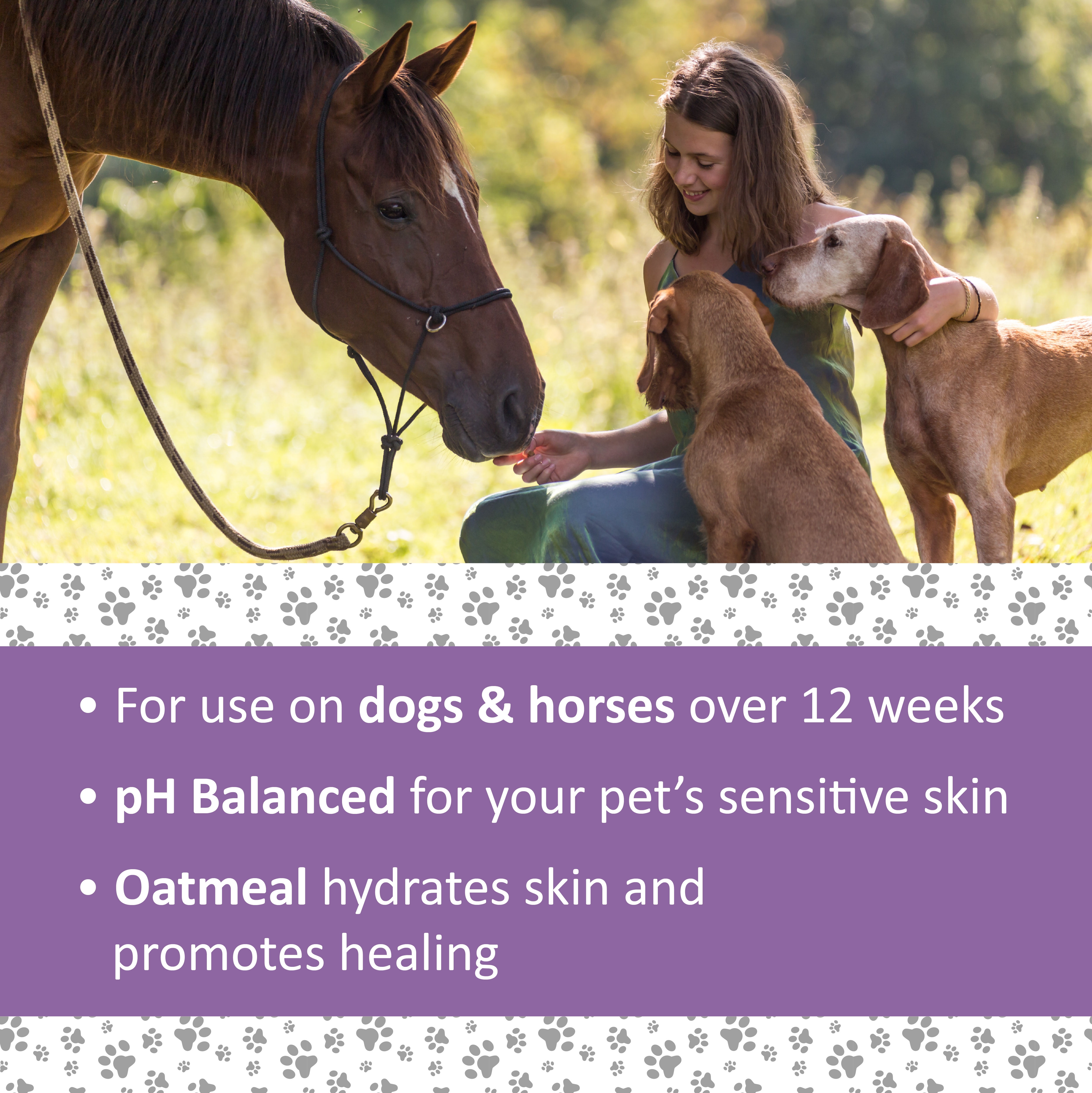 antiparasitic wash for dogs