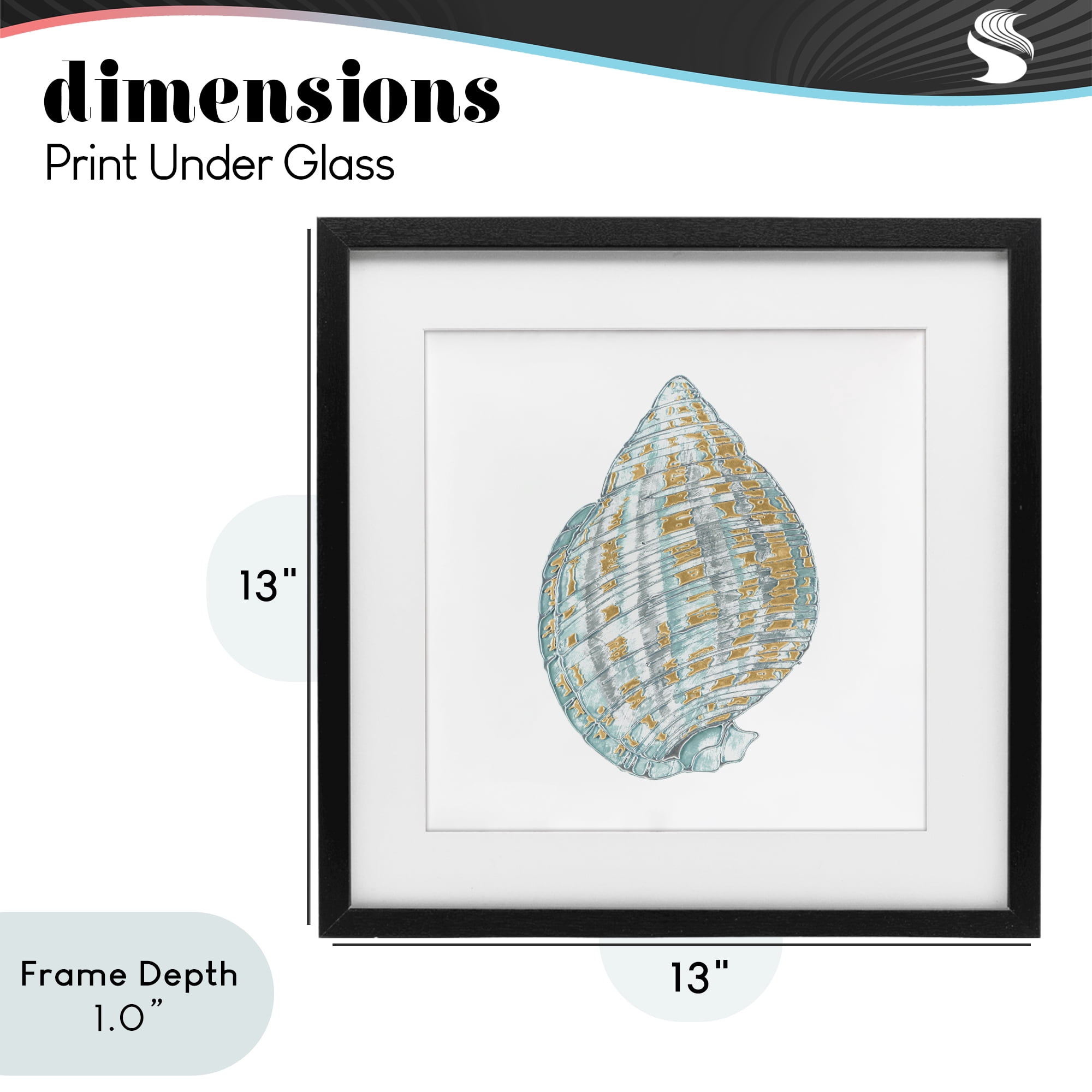 Stupell Industries Regal Shells Spiral Black Framed Print Under Glass, design by Lorenzo Collective