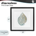 thumbnail image 4 of Stupell Industries Rustic Lodge Regal Shells Spiral Black Framed Print Under Glass, 13 x 13, by Lorenzo Collective, 4 of 8