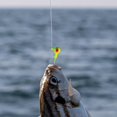 thumbnail image 4 of Colorful Heads with Barbed Hooks – Saltwater/Freshwater Fishing Durable Core Snag Design, 4 of 5
