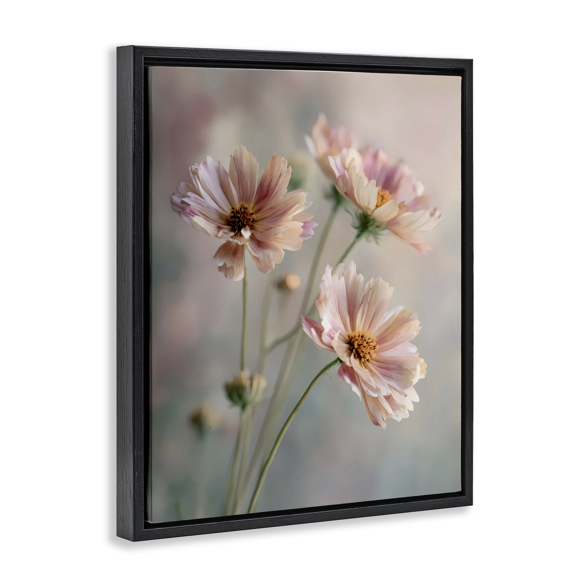 Stupell Industries Pink Daisies Close Up Black Framed Floater Canvas Wall Art, design by Franklyn Gregory