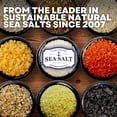thumbnail image 6 of Sea Salt Superstore Italian Black Truffle Finishing Sea Salt, 5 oz Gluten-Free, 6 of 6