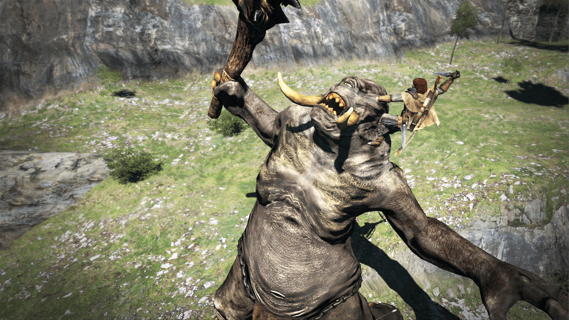 Capcom Dragon's Dogma: Dark Arisen Video Games - Nintendo Switch