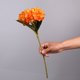 thumbnail image 3 of Juego de plantas artificiales Advancent duraderas de bajo mantenimiento 5 uds para entornos aptos para mascotas naranja claro, 3 of 6