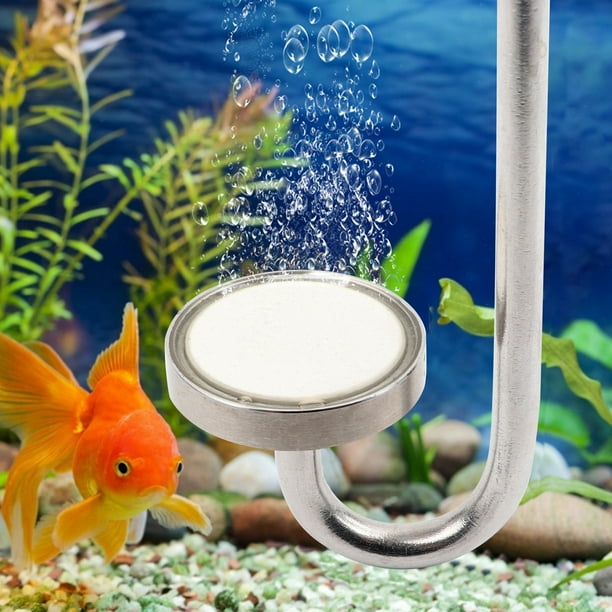 Fish tank diffuser 2025