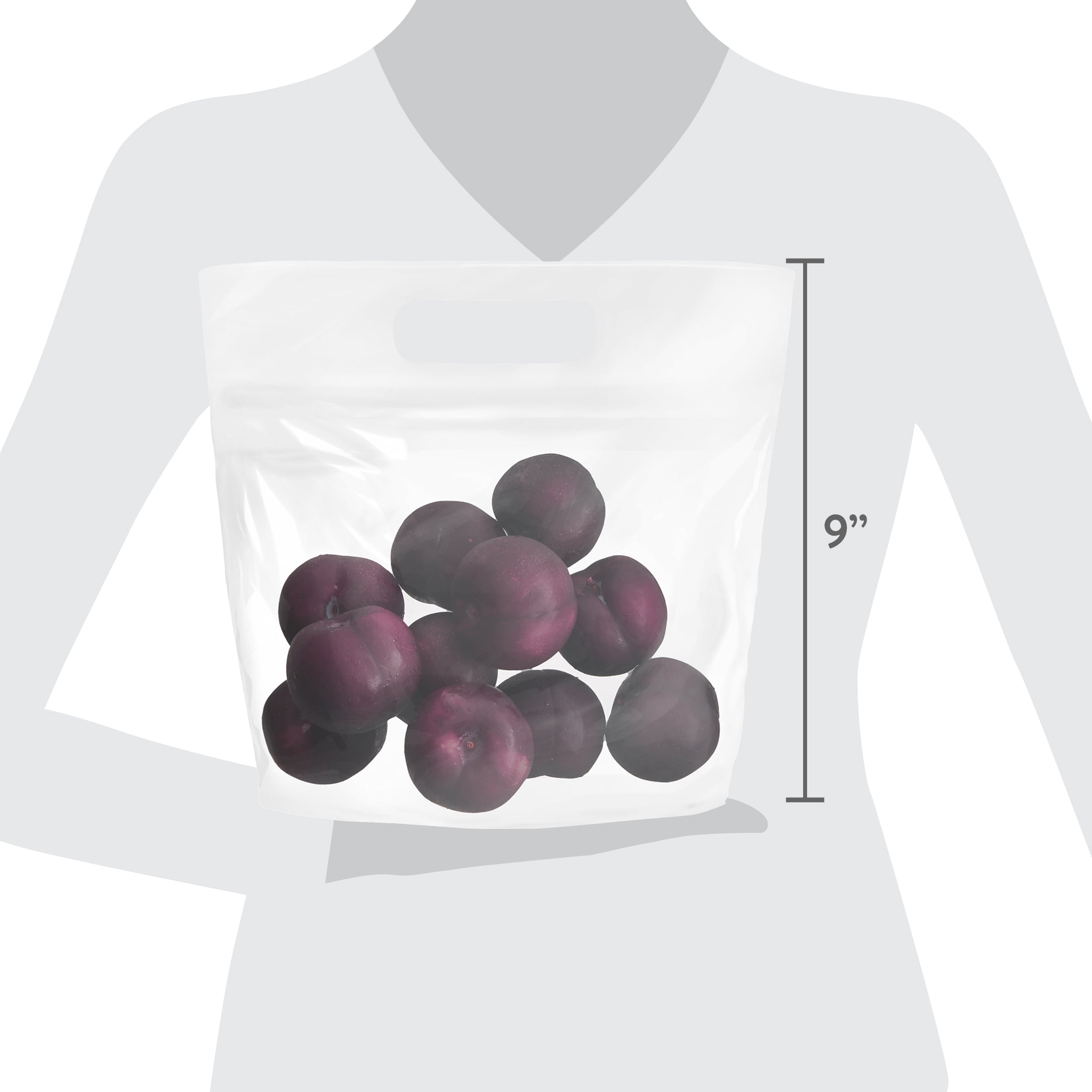 Fresh Plum Bag, 2lb