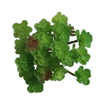 Artificial Succulent Plants - Faux Succulents Unpotted Fake Succulent Plants, Premium Crafting DIY Floral Decor for Home Garden Office Party