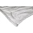 thumbnail image 3 of Warner Bros DC Superpets Unite Kids Silk Touch Throw Blanket, 3 of 6