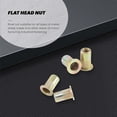 thumbnail image 4 of 50 pcs M10/M12/M8/M5/M6/M4/M4 Flat Head Rivet Nut Furniture Decoration Inst ent, 4 of 5