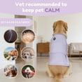thumbnail image 4 of Amztom Dog Anxiety Vest, Skin-Friendly Thunder Jacket for Dog Anxiety Relief, Comfort Calming Shirt for Fireworks, Vet Visits & Separation, Purple, XL, 4 of 9