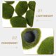 thumbnail image 3 of Nestingho 10Ud Artificiales Simuladas Para Acuario De Material Duradero, 3 of 7