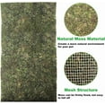 thumbnail image 4 of Triani 1Pcs Moss Reptile Carpet 5.9*39.4 Inch Terrarium Bedding Substrate Liner Rainforest Reptile Supplies Green Substrate Flooring Bearded Dragon Tank Accessories, 4 of 7