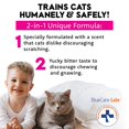 thumbnail image 2 of Aerosol Disuasorio para Gatos Bluecare Labs 2 en 1, 2 of 9