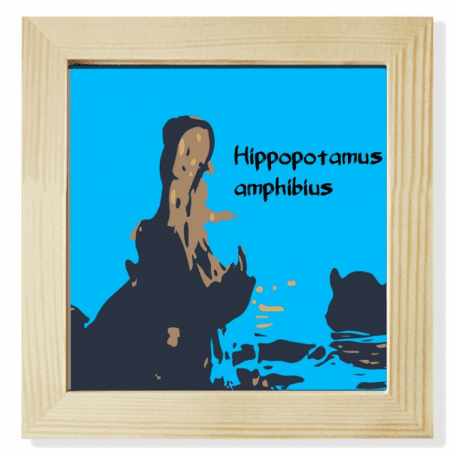Hippopotame Grand Cadre Photo Carré d'Eau Douce pour Mur Ou Table