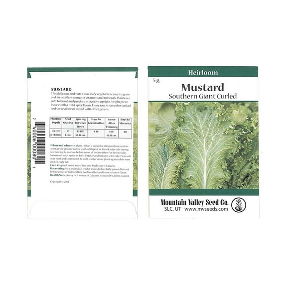 Evergreen Bunching Onion Garden Seeds - 1 Gram Packet - Non-GMO, Organic, Heirloom Vegetable Gardening & Microgreens Seeds