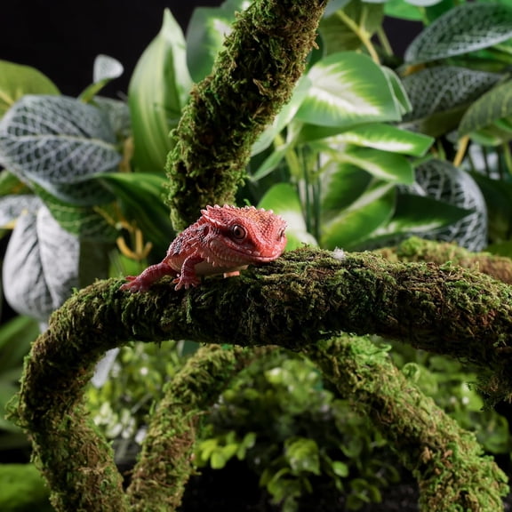 Moss Vine for Reptiles, Bendable Climbing Vines Reptile Tank Accessories, Natural Moss Rope for Terrarium Decor