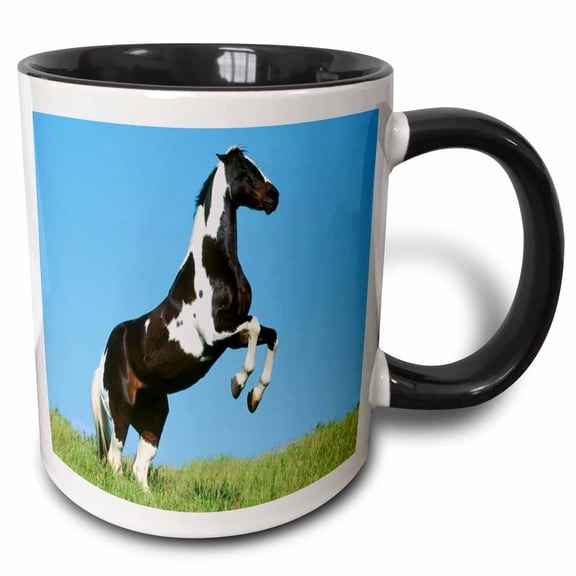 3drose, Magnificent Brown N White Horse, 11oz Two-tone Black Mug