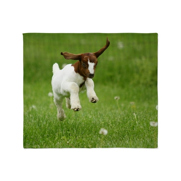 CafePress - Peanut Throw Blanket - Soft Fleece Throw Blanket, 50"x60" for All Ages