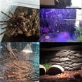 thumbnail image 4 of 4PCS Cork Terrarium Background 15.7x11.8in Natural Cork Large Bark Climbing Mat Habitat Decoration Chameleons, Lizards, Turtles Glass Jar Decoration, 4 of 8