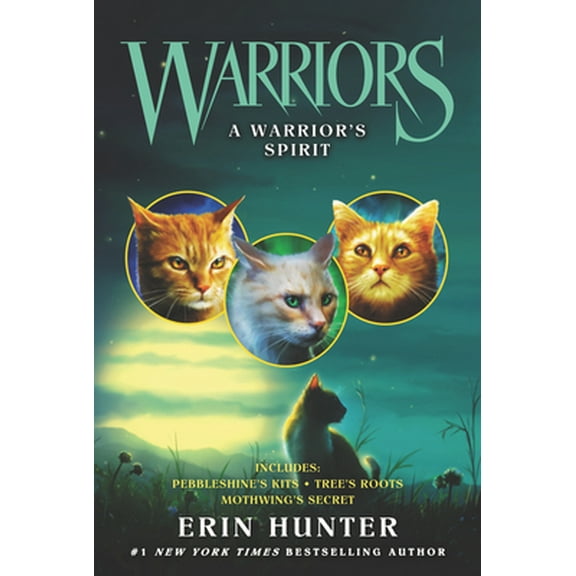Pre-Owned A Warrior's Spirit (Paperback) 006285741X 9780062857415