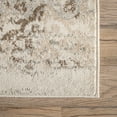 thumbnail image 6 of nuLOOM Freja Faded Floral Beige 8' x 10' Vintage Area Rug, 6 of 10