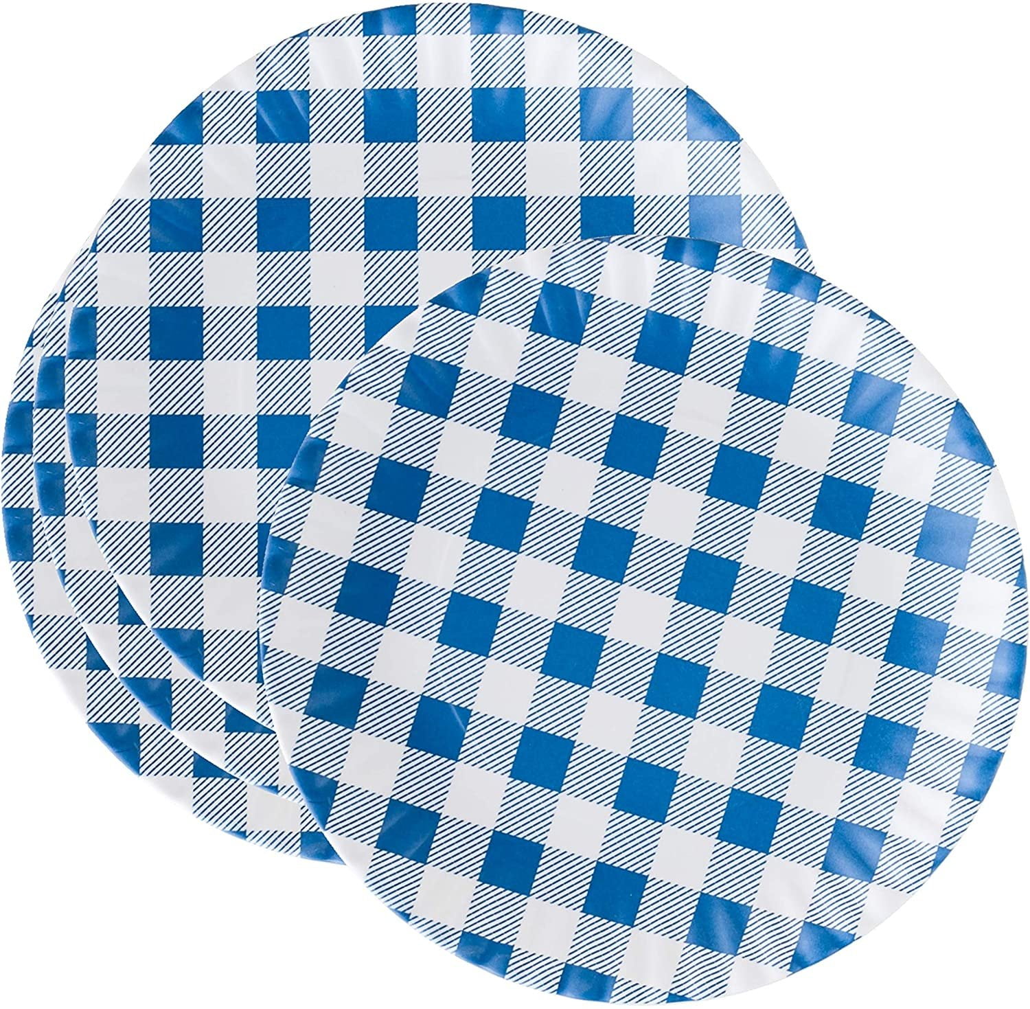 What Is It?" Reusable Blue & White Gingham Checkered Picnic/Dinner