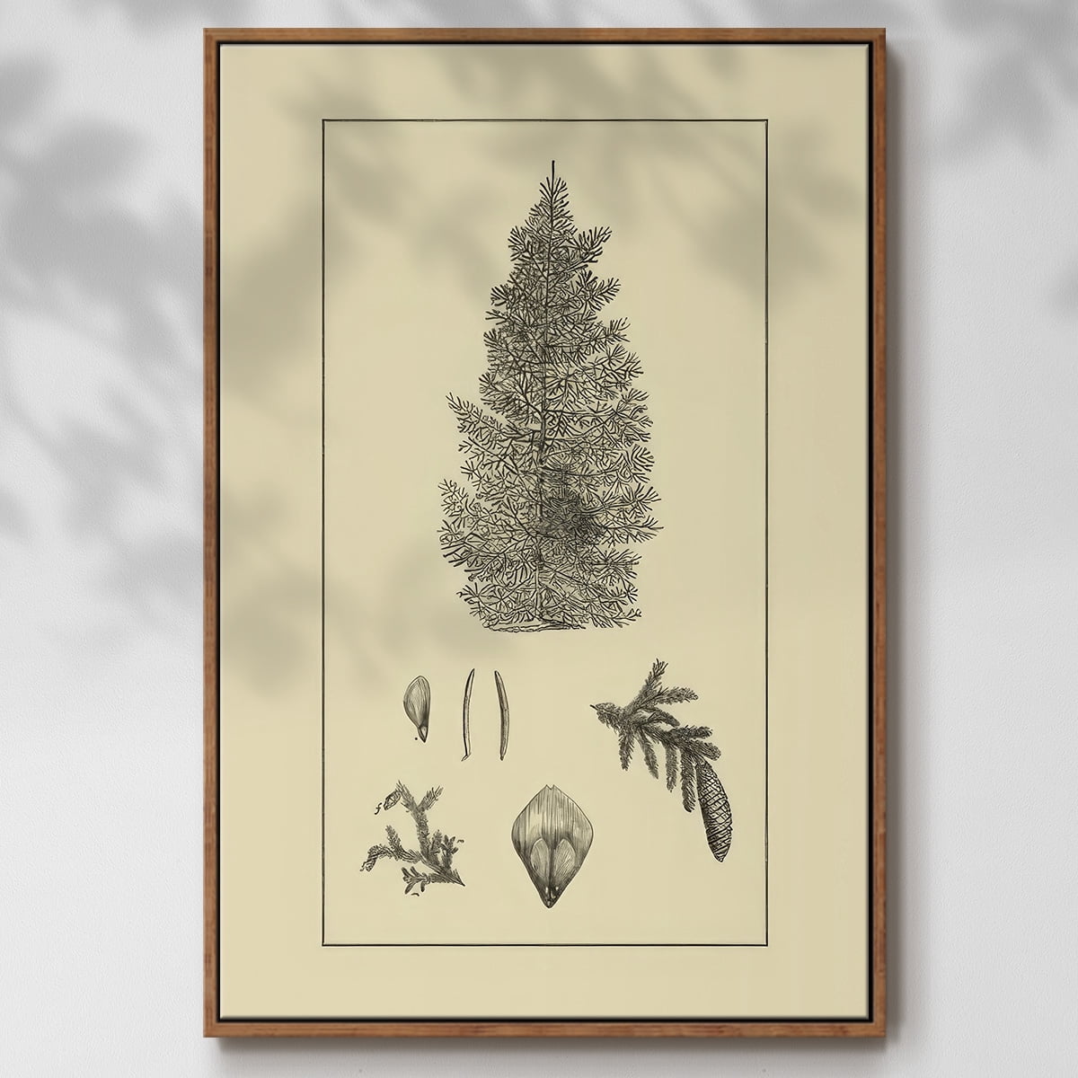 Arbor Study I - Framed Gallery Wrapped Holiday Canvas - 25 x 37 - Rosewood Frame
