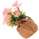 thumbnail image 1 of unbranded Flor Artificial Phalaenopsis Rosa Para Duradera Y, 1 of 6