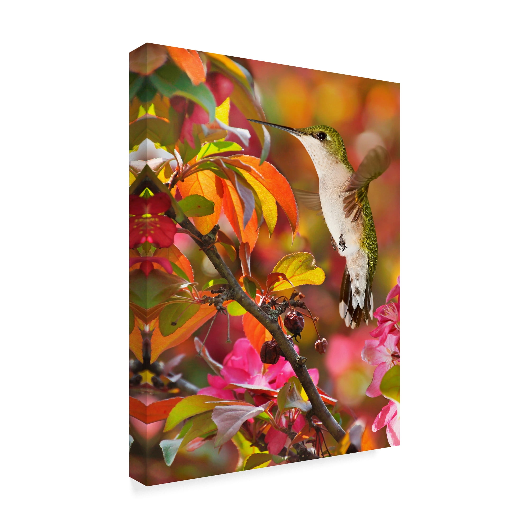 Trademark Fine Art 'The Flower Dance XVII' Canvas Art by Leda Robertson