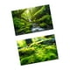 thumbnail image 5 of Fondo fotográfico de 57x87 cm con paisaje natural, doble cara. Estilo a, 5 of 9