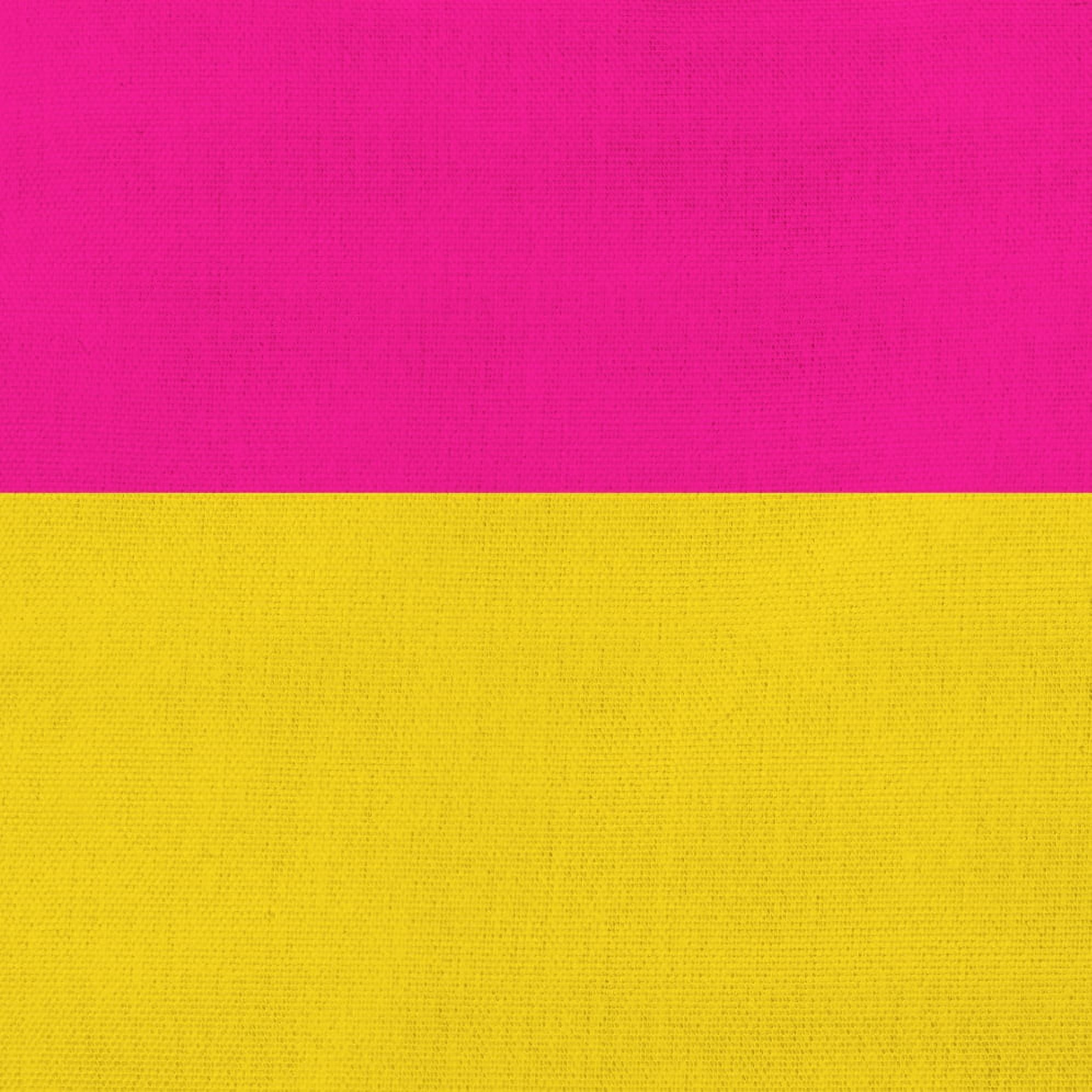 Simply Daisy 16 inch Pansexual Flag Outdoor Throw Pillow