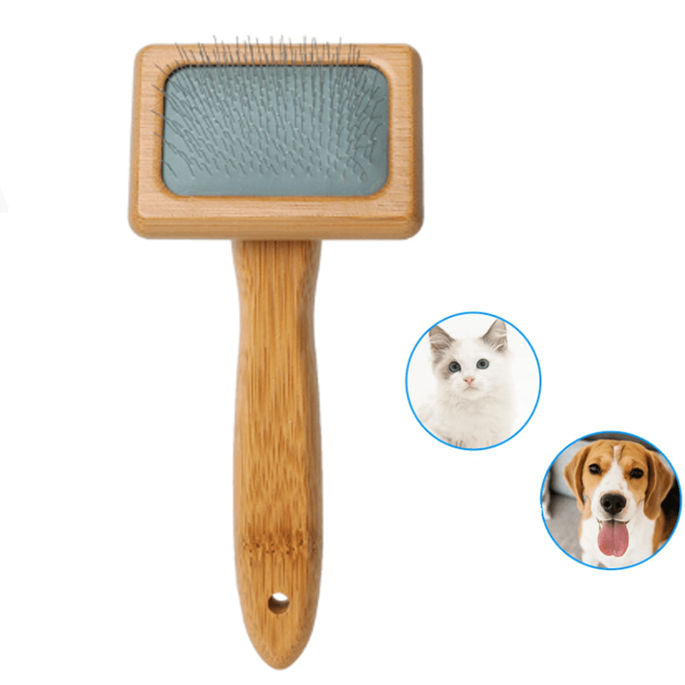 How Can I Increase My Dogs Hair Growth