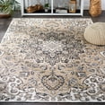 thumbnail image 3 of SAFAVIEH Sunrise Ray Floral Reversible Indoor/Outdoor Area Rug, Grey/Beige Black, 4' x 5'7", 3 of 9