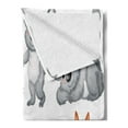 thumbnail image 2 of Tropical Animals Soft Flannel Fleece Blanket, Australian Baby Kangaroos and Koala Bears in Different Positions Art Print, Cozy Plush for Indoor and Outdoor Use, 50" x 70", Grey Brown, by Ambesonne, 2 of 5