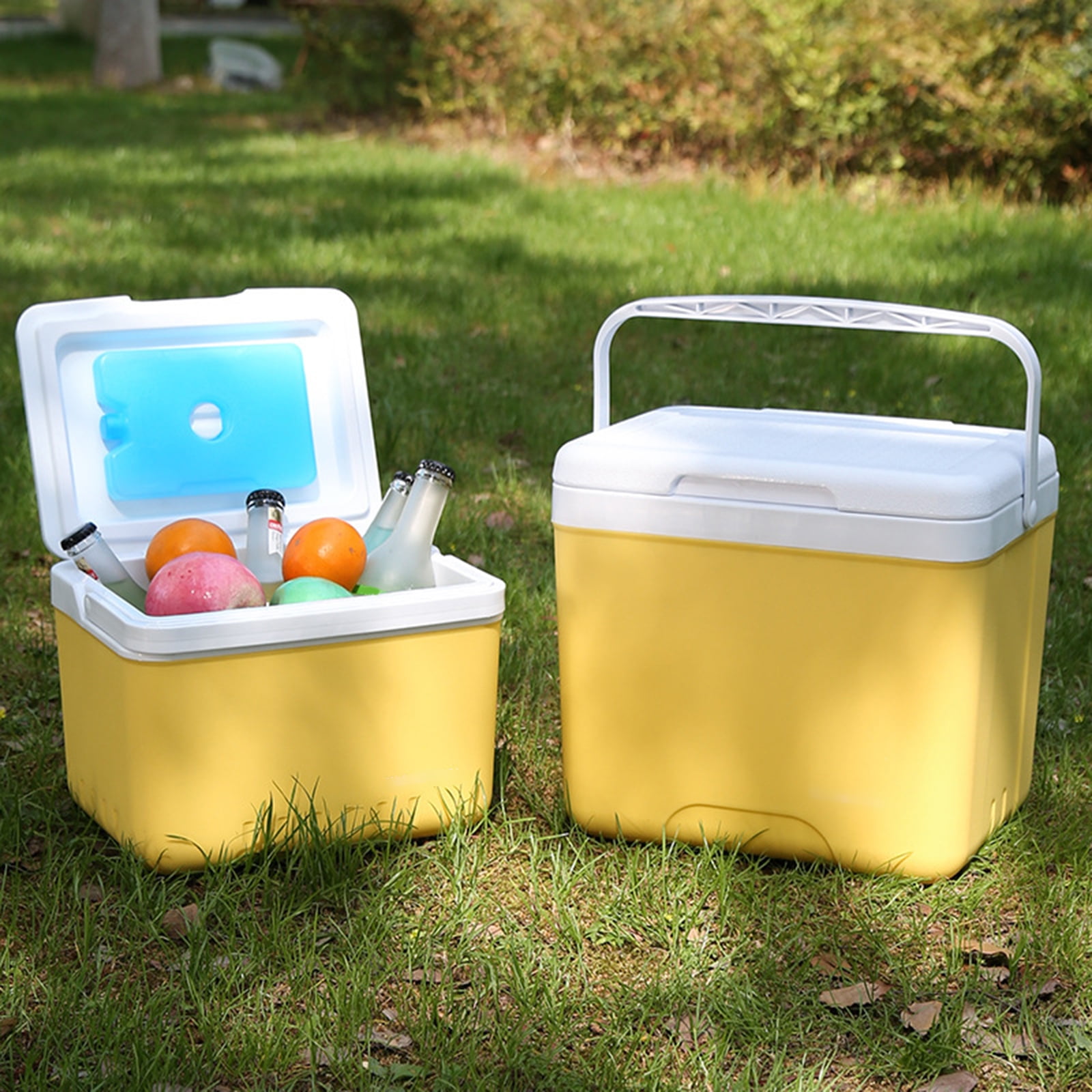 lixuesong 6L Camping Coolers Box Insulated Ice Chest Ice Bucket Outdoor Hard Coolers for Camping Picnics Beach Drink Beverages