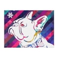 thumbnail image 4 of KLL Colorful Bulldog Print Fleece Throw Blanket, Horizontal Fleece Bedding Cute Soft Blankets Comfy Fleece Flannel Plush Home Decor for Couch & Bed -50"x40", 4 of 9
