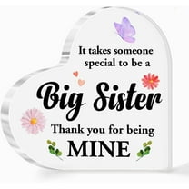 Sisters Gifts from Sister Acrylic Heart Sign,Big Sister Birthday Gift Ideas,It Takes Someone Special To Be A Big Sister Sign Plaque Gift For Girls Sisters Friends A510