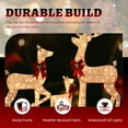 thumbnail image 4 of 3-Piece Lighted 5ft Reindeer Family Set w/ 290 Warm White LED Lights, Christmas Holiday Decor Buck, Doe & Fawn for Indoor & Outdoor Use (Champagne), 4 of 10