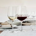 thumbnail image 3 of Riedel Vinum Dishwasher Safe Viognier/Chardonnay White Wine Glass (8 Pack), 3 of 8