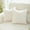 Cream White, variant on Sunday Praise Set of 2 Soft Chenille Decorative Throw Pillow Covers 18x18 Inch for Couch Sofa Bed,Dark Grey